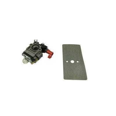 CARBURATEUR AVEC JOINT POUR FBS 25 A1